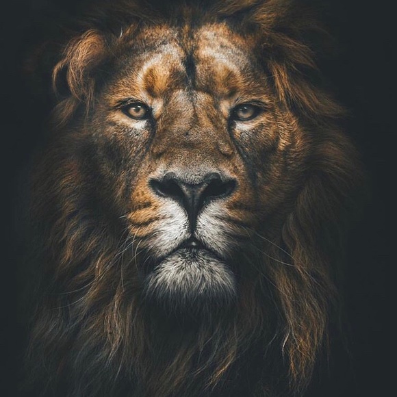 Meet your Posher, Steven - Picture 1 of 1